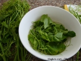 pinoy-recipe-ginisang-sayote2                               