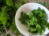 filipino-recipe-black-beans-with bittermelon-leaves9                            