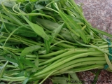 pinoy-nilagang-kangkong1