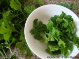 filipino-recipe-black-beans-with bittermelon-leaves9