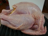 turkey-wrapped-with-bacon5.jpg