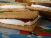 s\'mores10                               