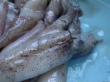 pinoy-adobong-pusit2