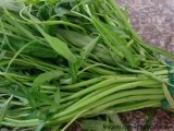 pinoy-nilagang-kangkong1