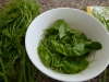 pinoy-recipe-ginisang-sayote2